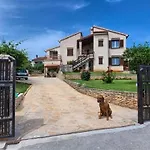 Apartman Fig Tree